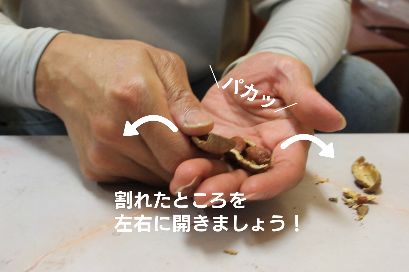 脇さんによる落花生のむき方