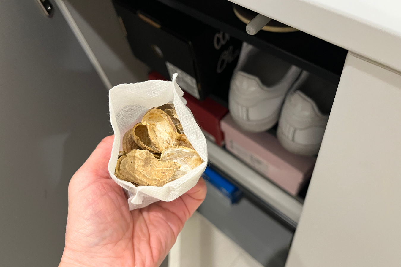 落花生の殻を脱臭剤に