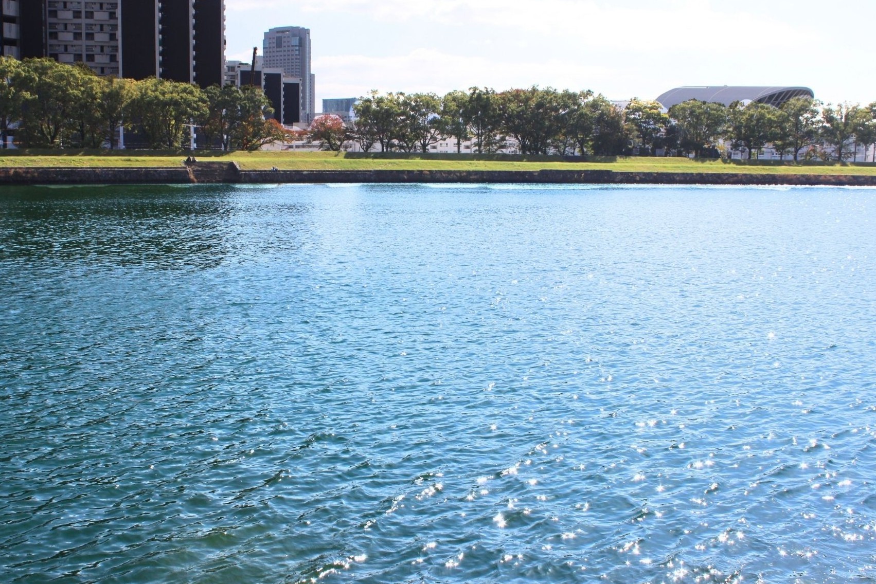 ZUTTO（ずっと）な人々 西山さん