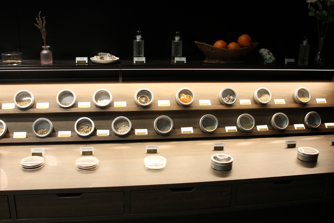 ジンに使用するボタニカルの展示